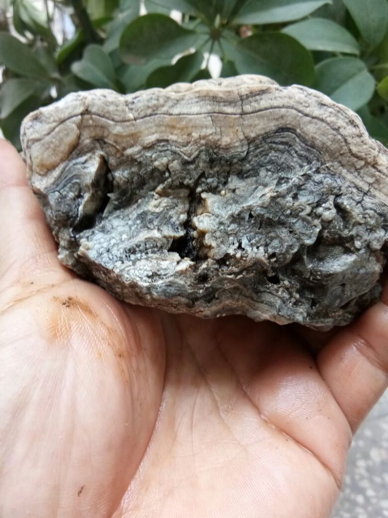 毛石