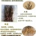 牡丹苗30~40cm