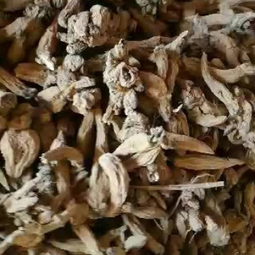 玄参统货
