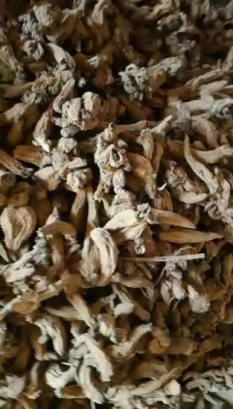 玄参统货