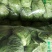 【特惠推荐】甘蓝0.5~1公斤精品山东金乡蔬菜批