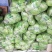 【特惠推荐】甘蓝0.5~1公斤精品山东金乡蔬菜批