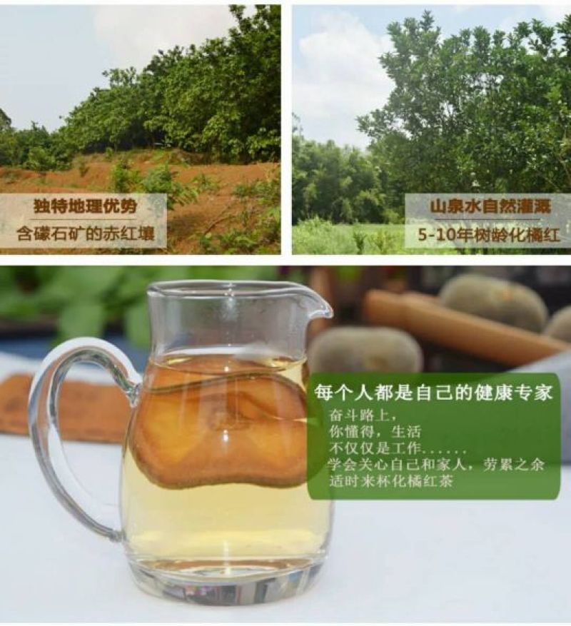正毛化橘红园果产地直销大小规格齐全支持发货