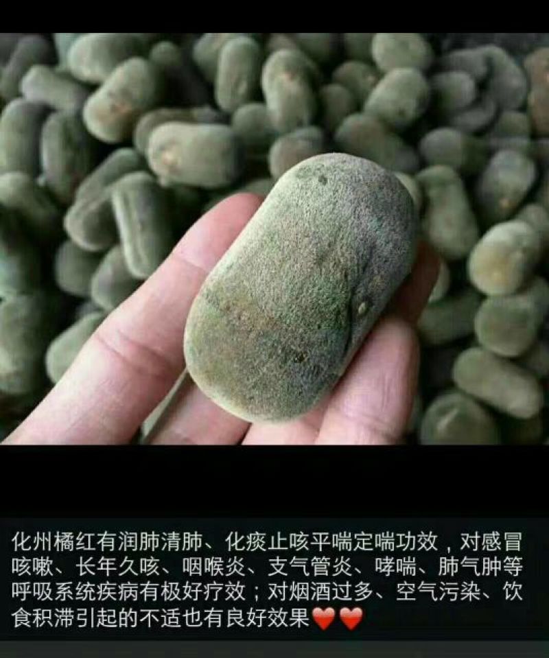 正毛化橘红园果产地直销大小规格齐全支持发货