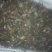 食用6-8钱（5.8-不封顶）活虾小龙虾到货价35