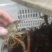 食用6-8钱（5.8-不封顶）活虾小龙虾到货价35