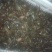 食用6-8钱（5.8-不封顶）活虾小龙虾到货价35