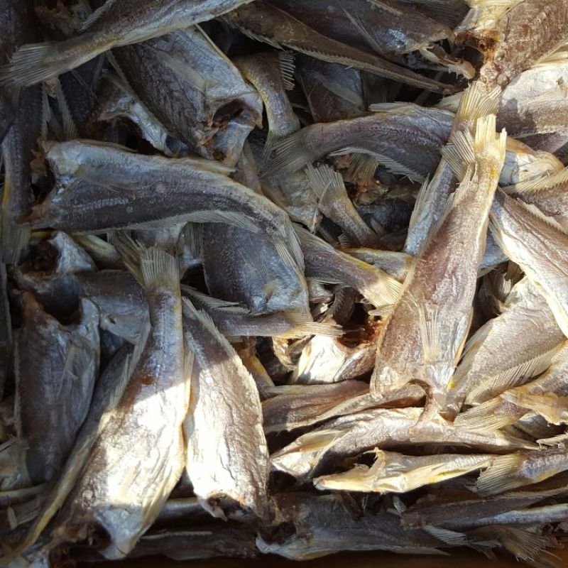 黄花鱼干蒸煮鱼干