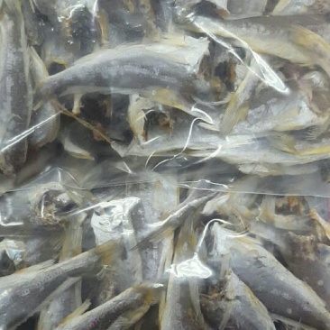 黄花鱼干蒸煮鱼干