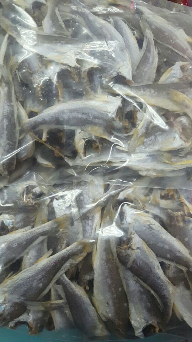 黄花鱼干蒸煮鱼干