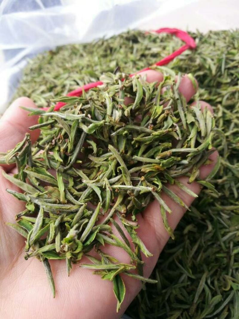 黄山毛峰绿茶