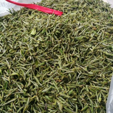 黄山毛峰绿茶