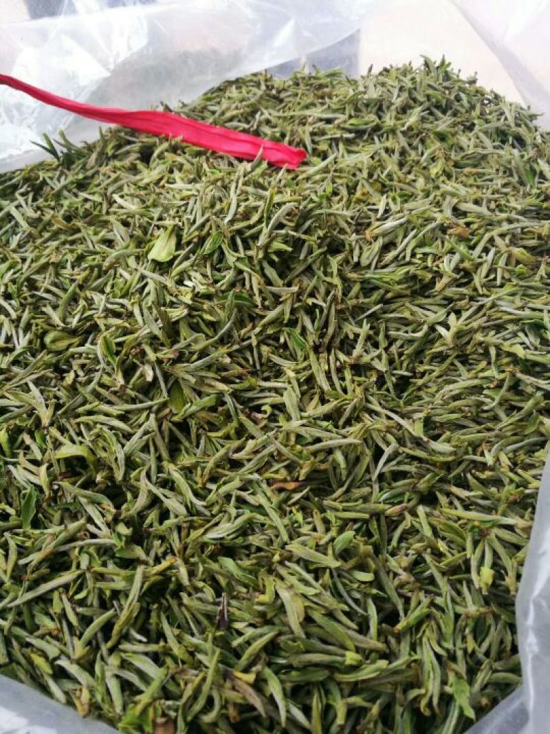 黄山毛峰绿茶