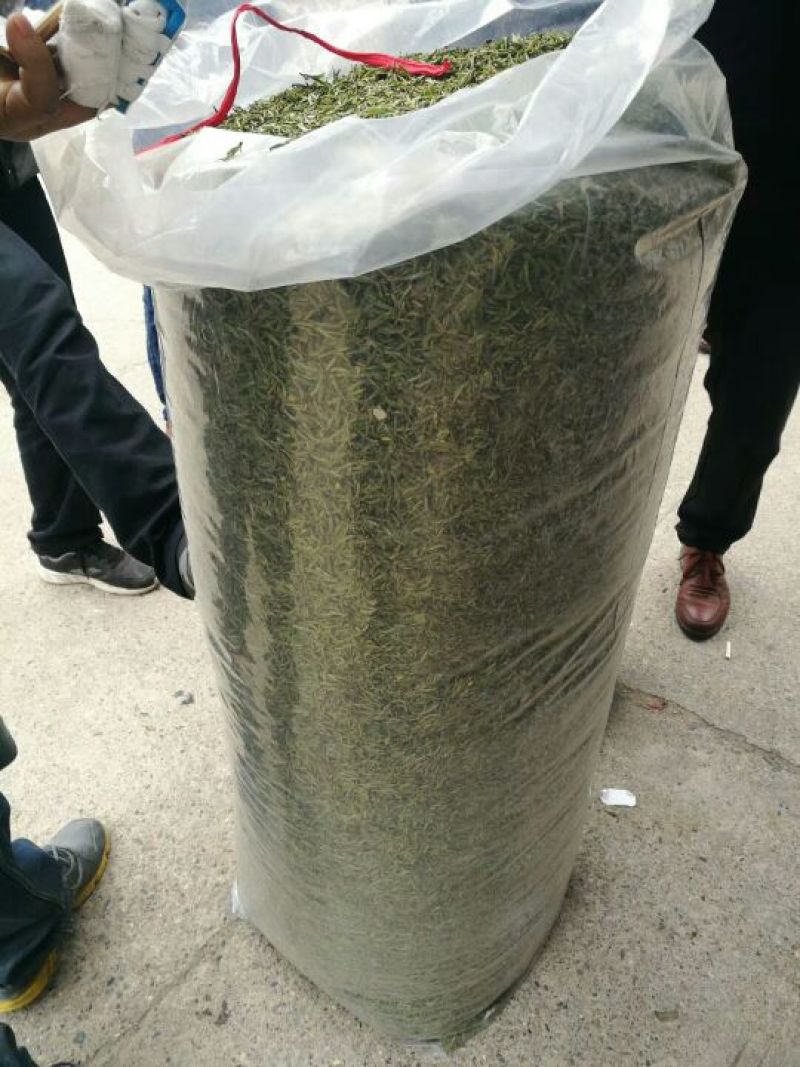 黄山毛峰绿茶