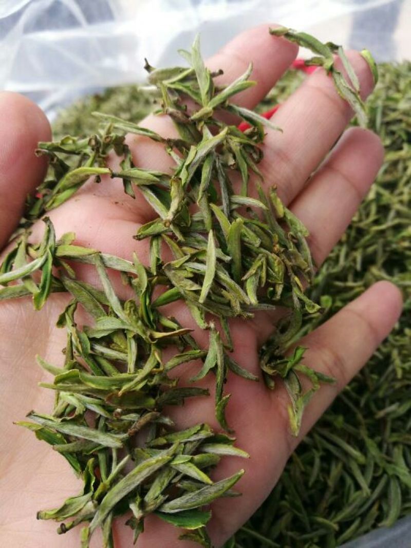 黄山毛峰绿茶