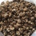 光面菇冬菇2.5厘米左右茶花菇