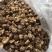 光面菇冬菇2.5厘米左右茶花菇