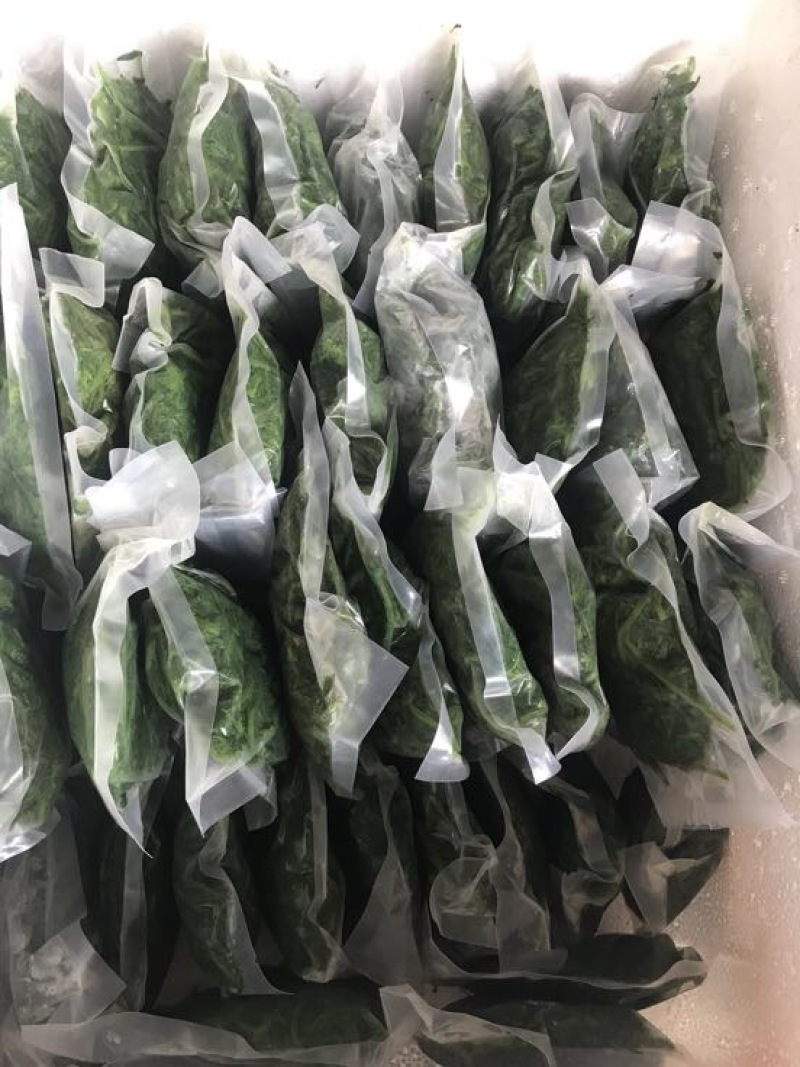 桑芽菜鲜