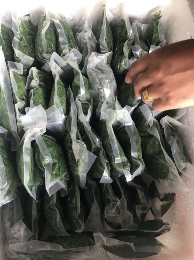 桑芽菜鲜