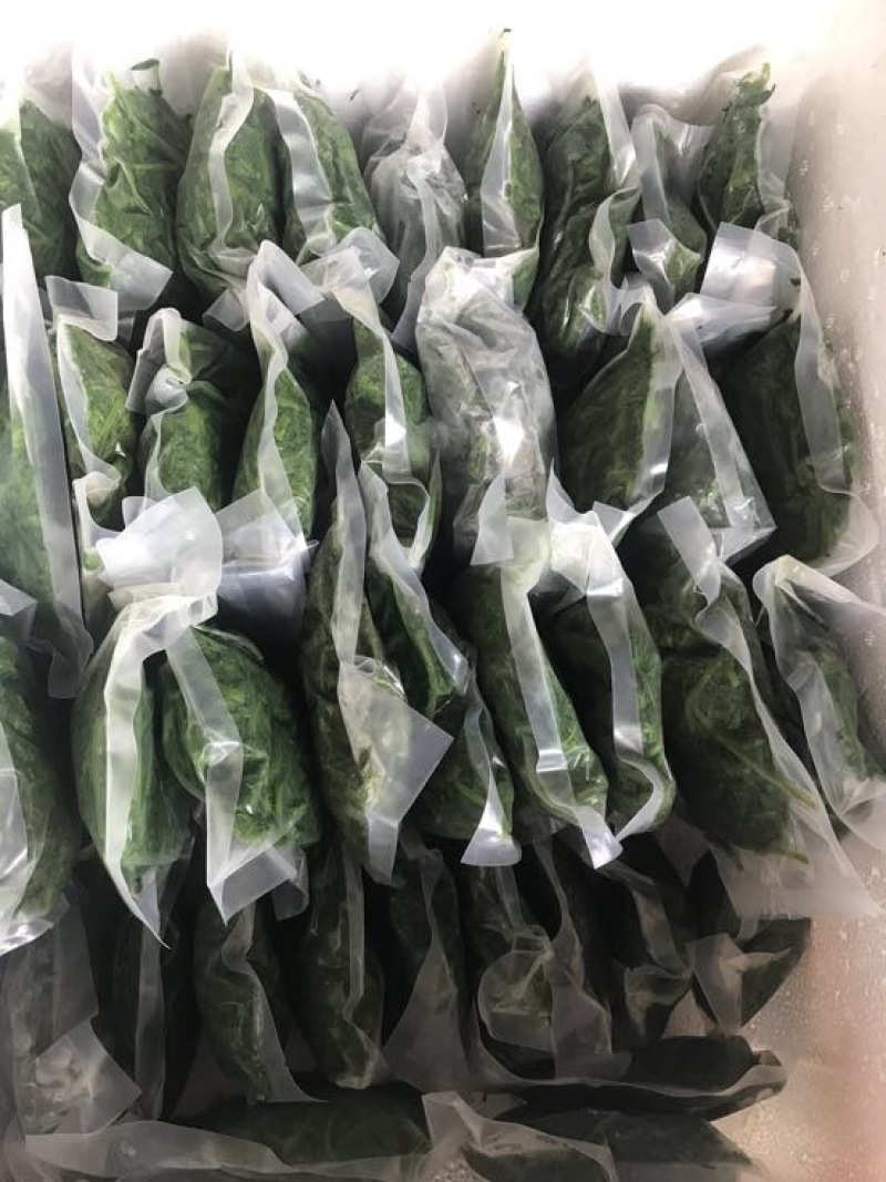 桑芽菜鲜
