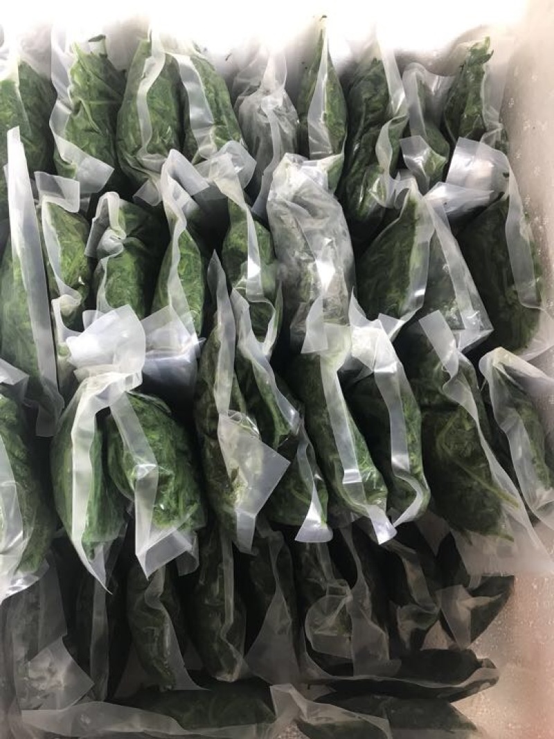 桑芽菜鲜