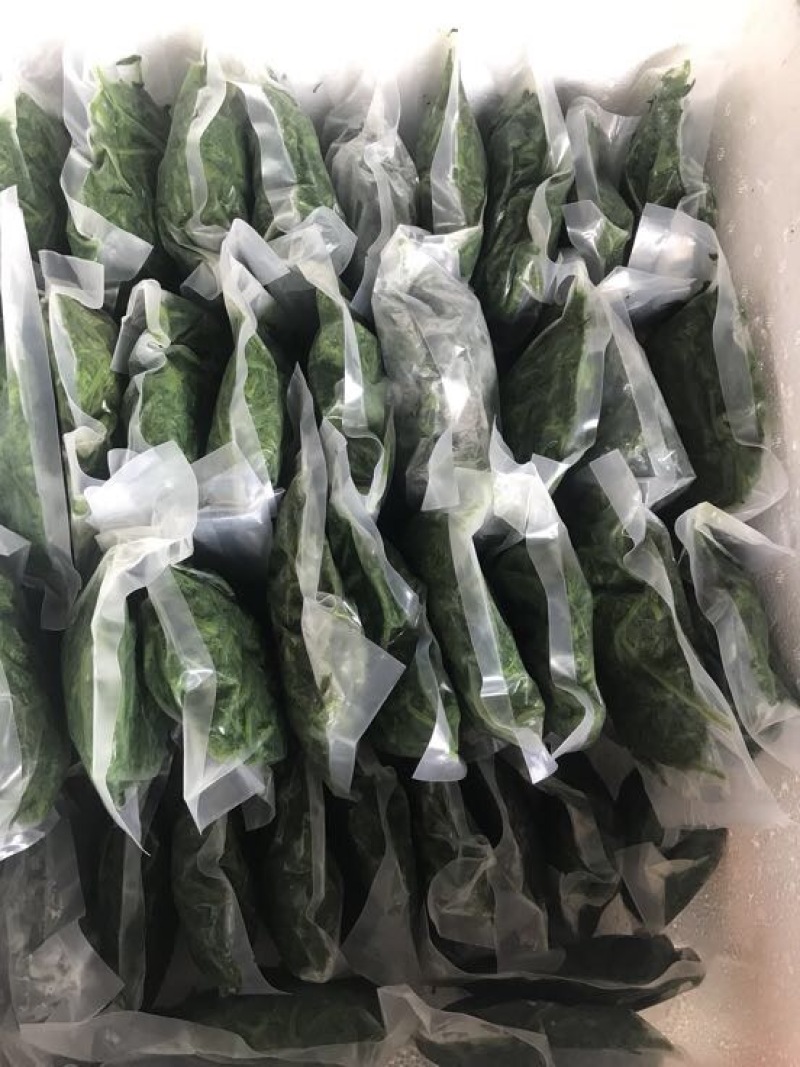 桑芽菜鲜