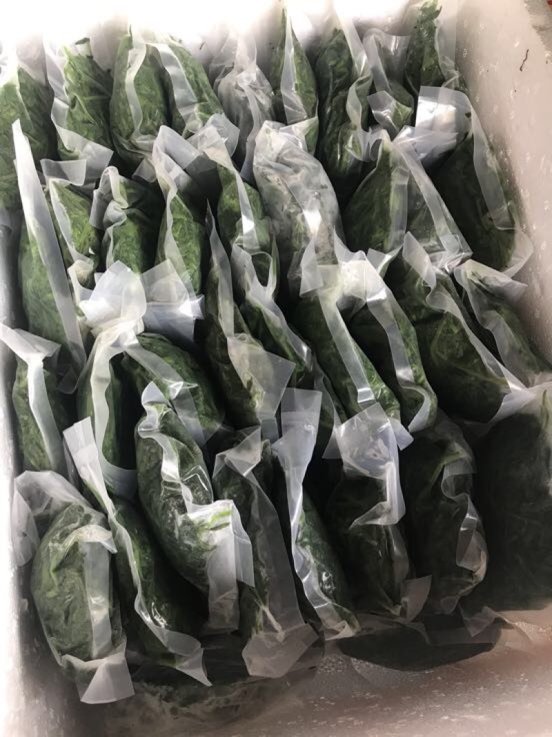 桑芽菜鲜