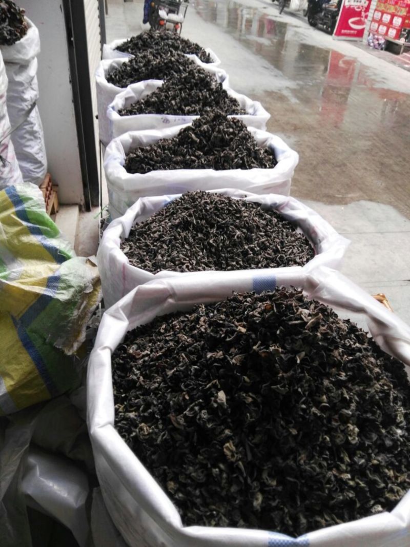 东北黑木耳黑山凉拌木耳冬耳