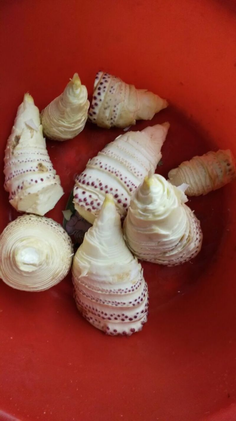 干笋