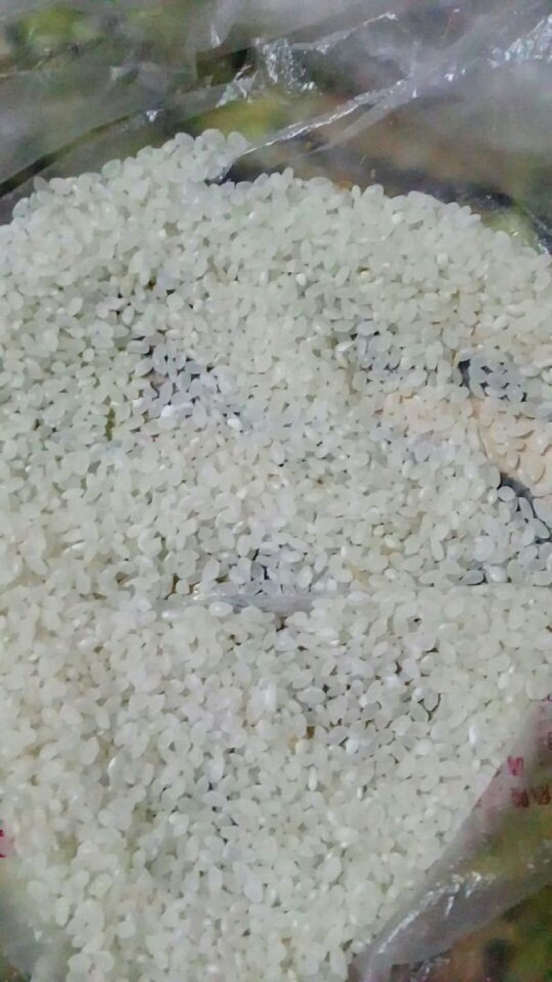 大米，新米，稻壳，，，，，，，，，,,,