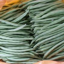 【代办蔬菜】四季豆10~15cm货源充足，量大从优
