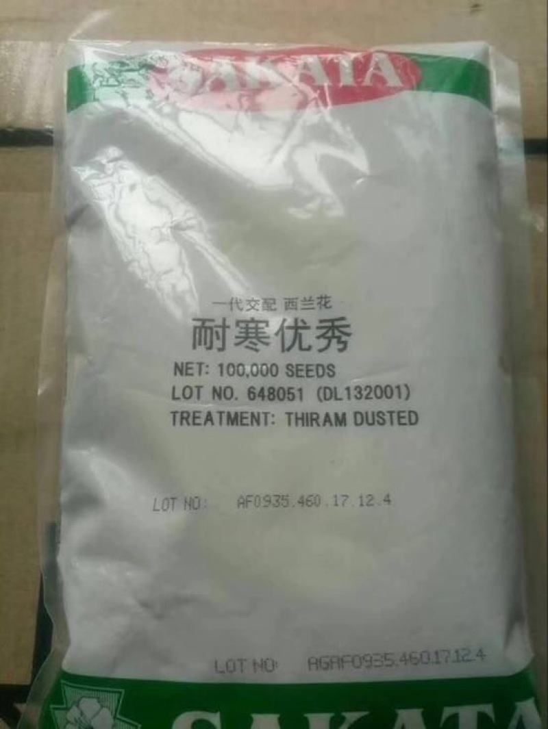 耐寒优秀西兰花种子