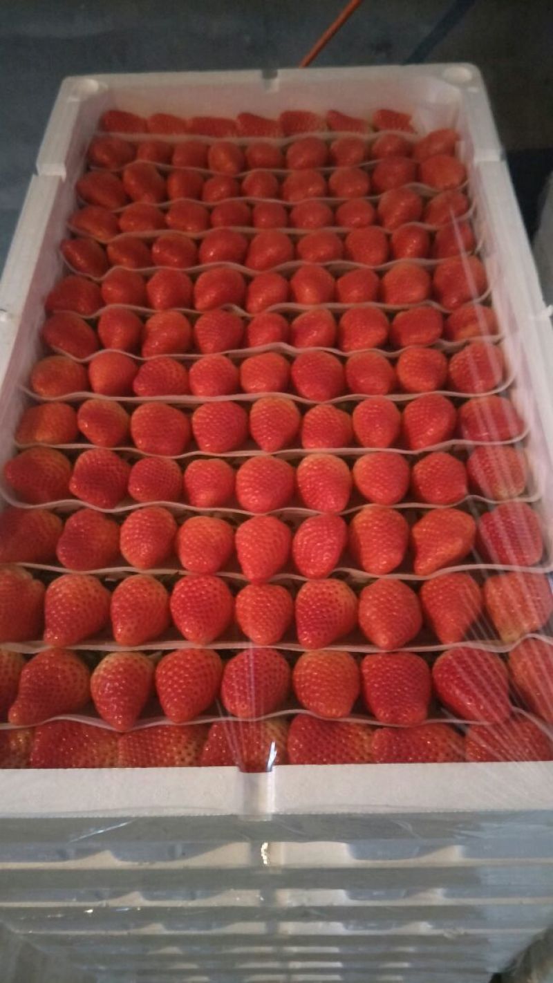 甜宝草莓30~40克