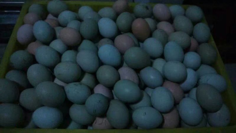 土鸡蛋食用40~50g
