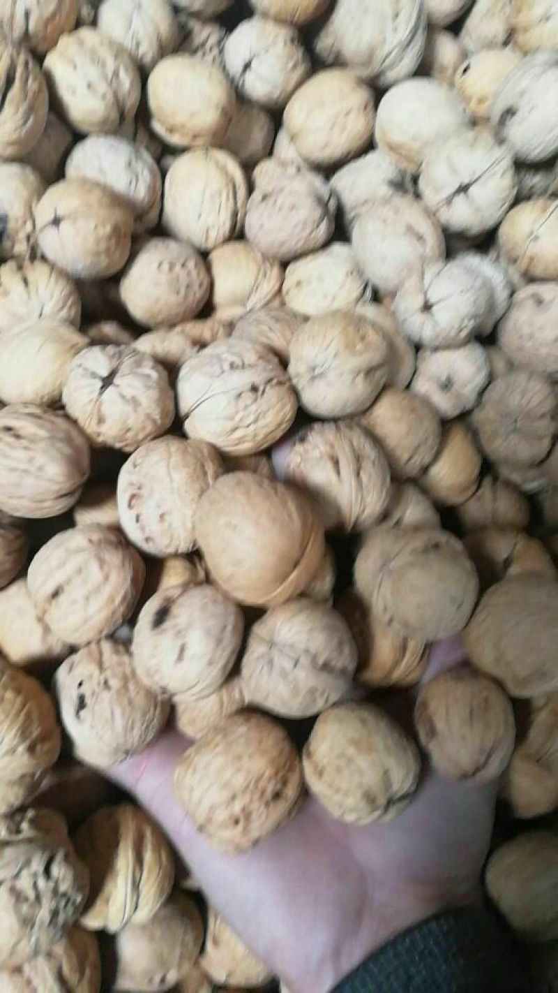 薄皮核桃25~30mm去皮干