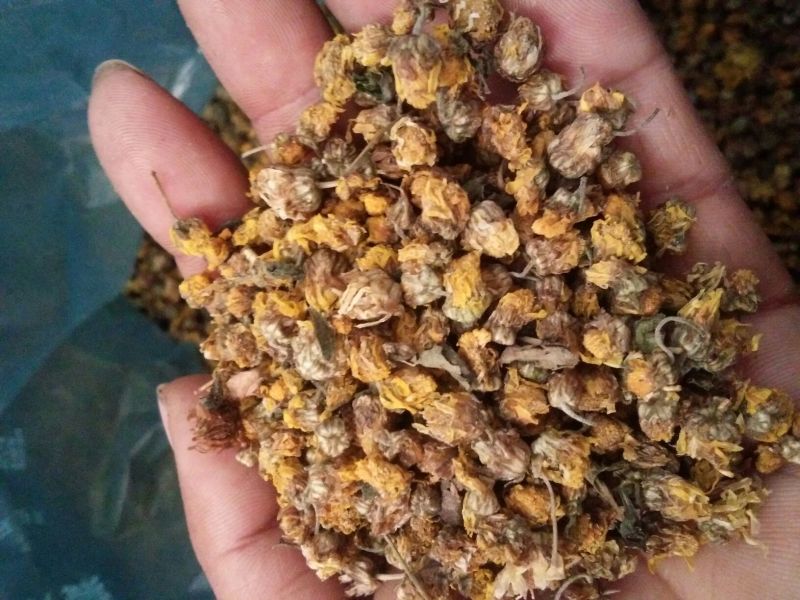 野菊花散装，纯颗粒过筛货，过三道筛好颗粒货