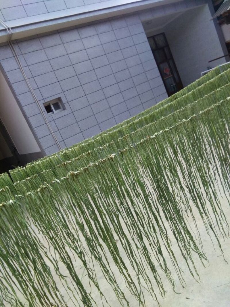 贡菜干贡菜云南贡菜笋干自产自销日产现货两百公斤