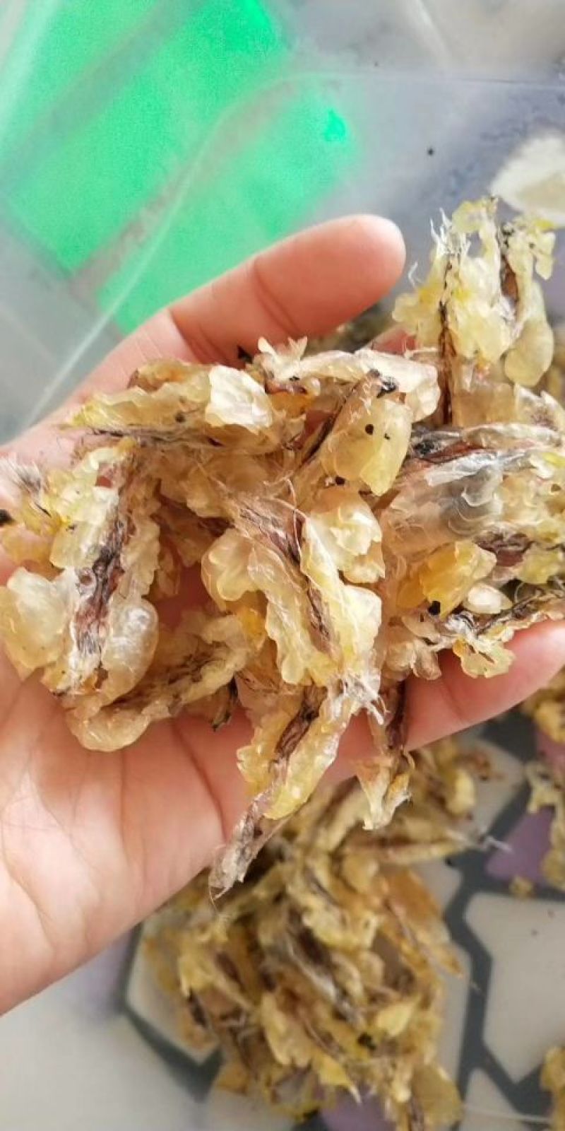 林蛙油