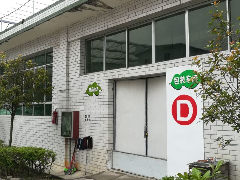 红苕粉火锅粉丝粉块厂家招商家直销南方土红薯