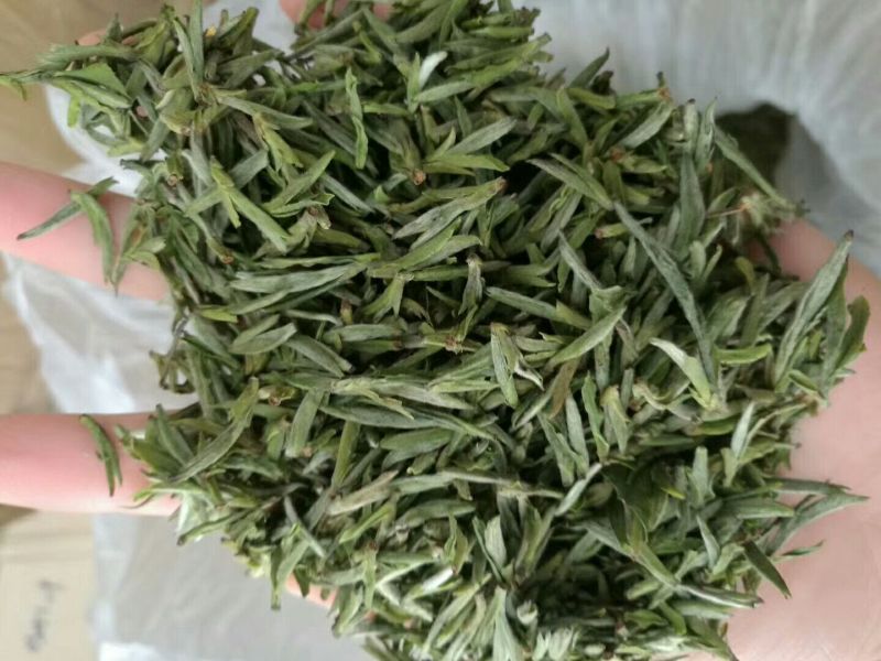 绿茶黄山毛峰