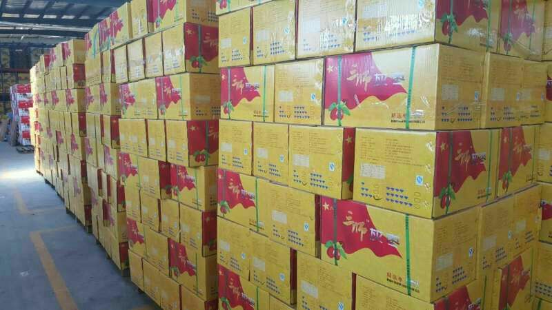若羌灰枣厂家批发供应电商拼多多产品厂家直销一手货源