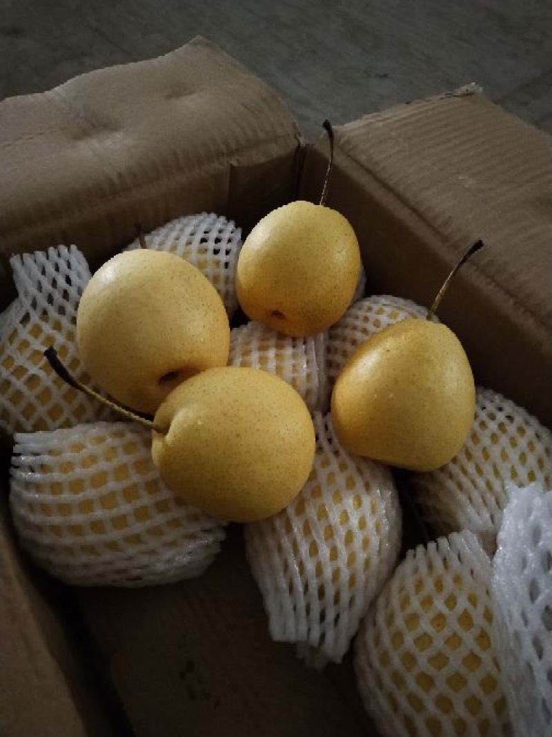 长巴梨纸箱150~200g