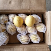 长巴梨纸箱150~200g