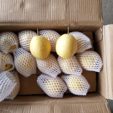 长巴梨纸箱150~200g