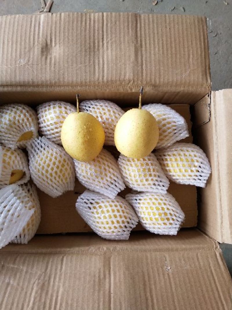 长巴梨纸箱150~200g