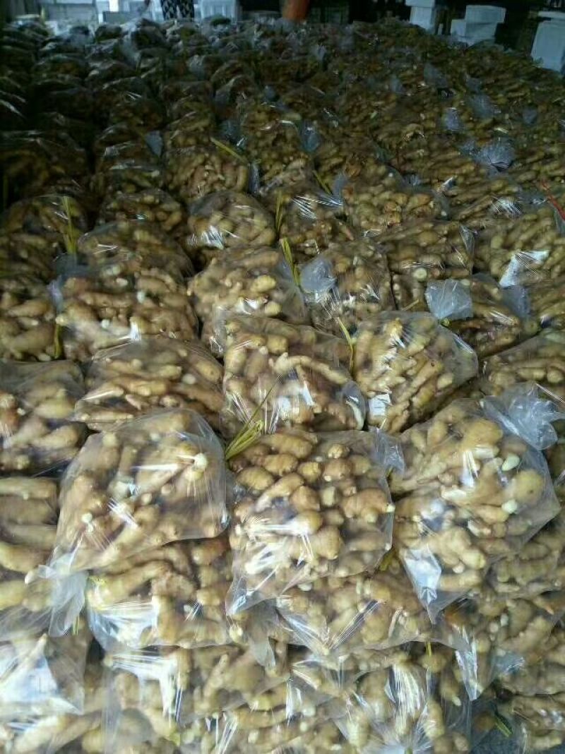 山东优质小黄姜3两以上带土泥姜，风干姜