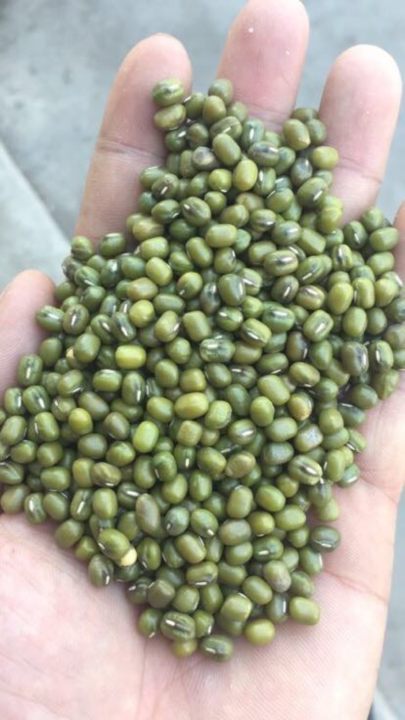 绿豆袋装