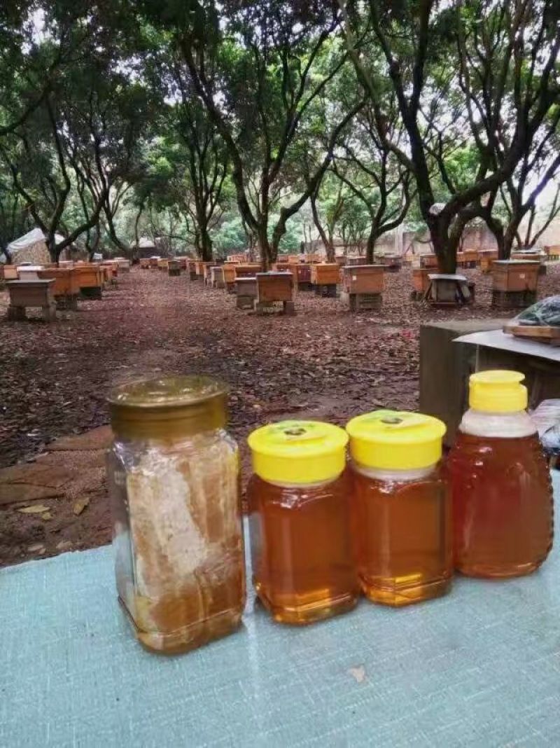 蜂蜜原生态蜂蜜