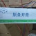 巴沙鱼