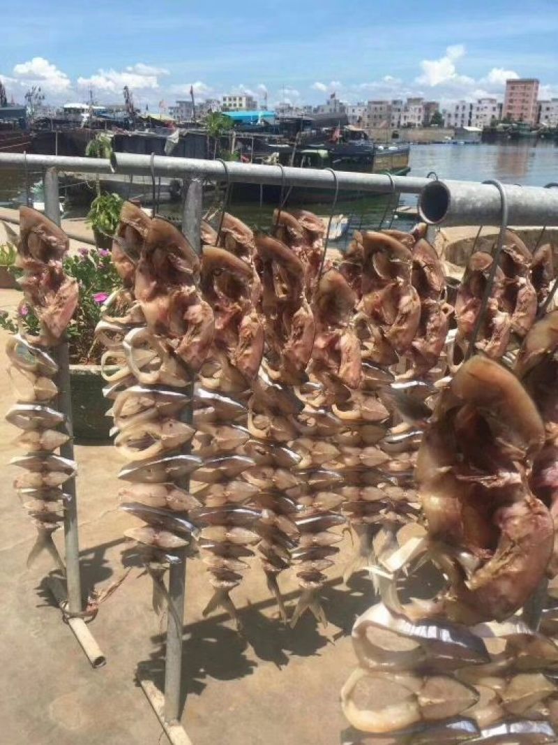 金鲳鱼食用
